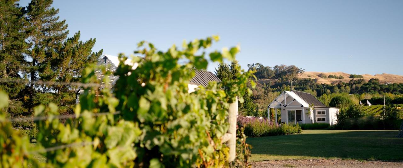 305 In The Vines Villa Havelock North Eksteriør billede